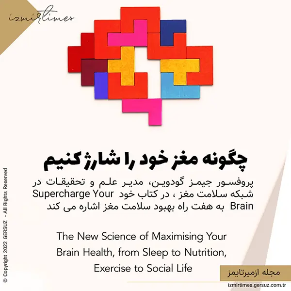 چگونه مغز خود را شارژ کنیم پروفسور جیمز گودوین